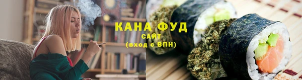 гашик Михайлов
