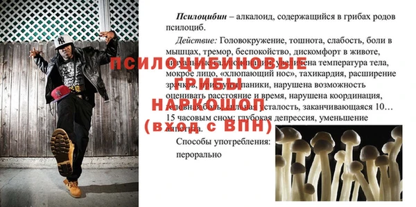 гашик Михайлов