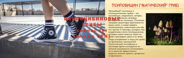 СК Мегион