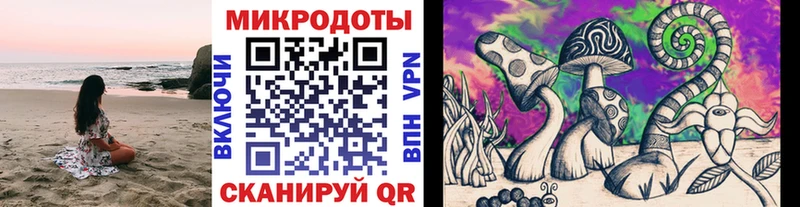 Псилоцибиновые грибы Psilocybine cubensis  Анадырь 